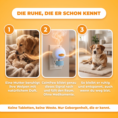 CalmPaw™ Diffuser: Ruhige Stunden allein, ohne Medikamente