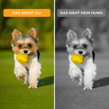 ChewMagic™ Kauball: Springt wild, hält kräftige Kauer aus