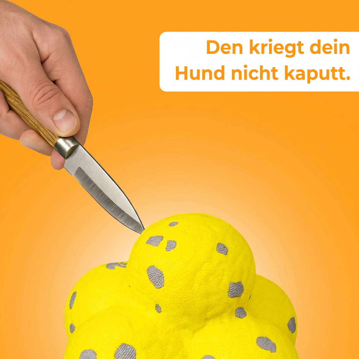 ChewMagic™ Kauball: Springt wild, hält kräftige Kauer aus