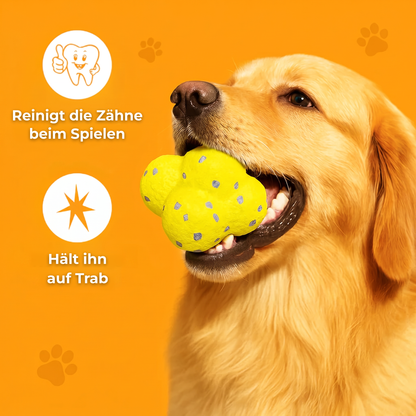 ChewMagic™ Kauball: Springt wild, hält kräftige Kauer aus
