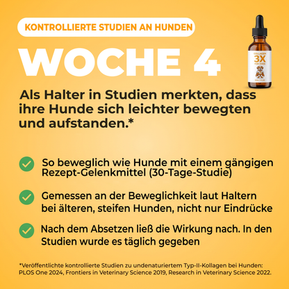Kontrollierte Studien an Hunden: Ab Woche 4 bemerkten Halter leichtere Bewegung. In einer 30-Tage-Studie bewegten sich Hunde mit Typ-II-Kollagen so frei wie mit einem gängigen verschreibungspflichtigen Mittel.