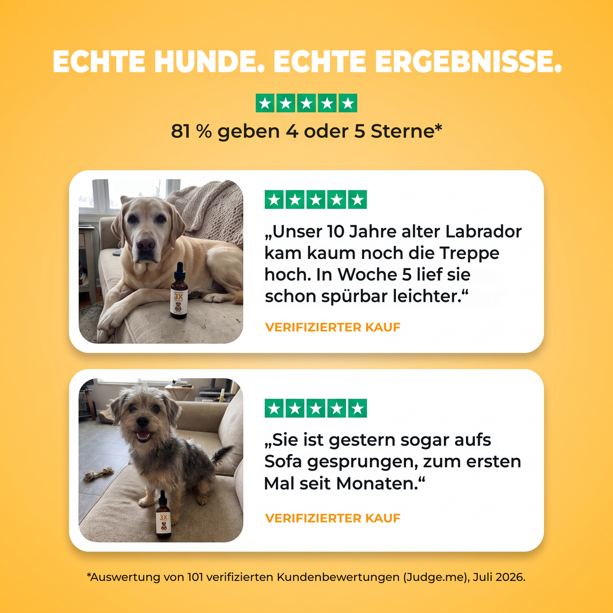 Echte Hunde, echte Veränderung. Verifizierte Kundenbewertungen mit Fotos: älterer Labrador bewegt sich ab Woche 5 leichter, Terrier wieder auf dem Sofa. 81 % geben 4 oder 5 Sterne.
