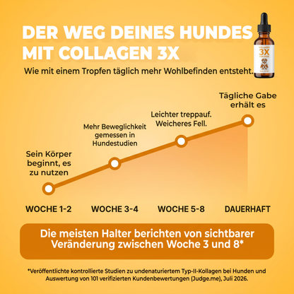 Die Reise deines Hundes mit Collagen 3X: Woche 1 bis 2 beginnt sein Körper, es zu nutzen, Woche 3 bis 4 in Hundestudien gemessene Verbesserungen der Beweglichkeit, Woche 5 bis 8 leichter Treppen steigen und weicheres Fell, bei täglicher Anwendung bleibt es so.