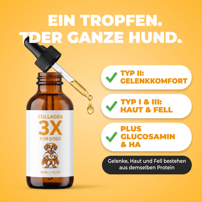 Ein Tropfen für den ganzen Hund. Typ II für die Gelenke, Typ I und III für Haut und Fell, plus Glucosamin und Hyaluronsäure.