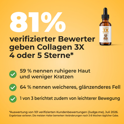 81 % der verifizierten Bewertungen geben Collagen 3X 4 oder 5 Sterne. 59 % beschreiben ruhigere Haut und weniger Kratzen, 64 % ein weicheres, glänzenderes Fell, jeder Dritte leichtere Bewegung.