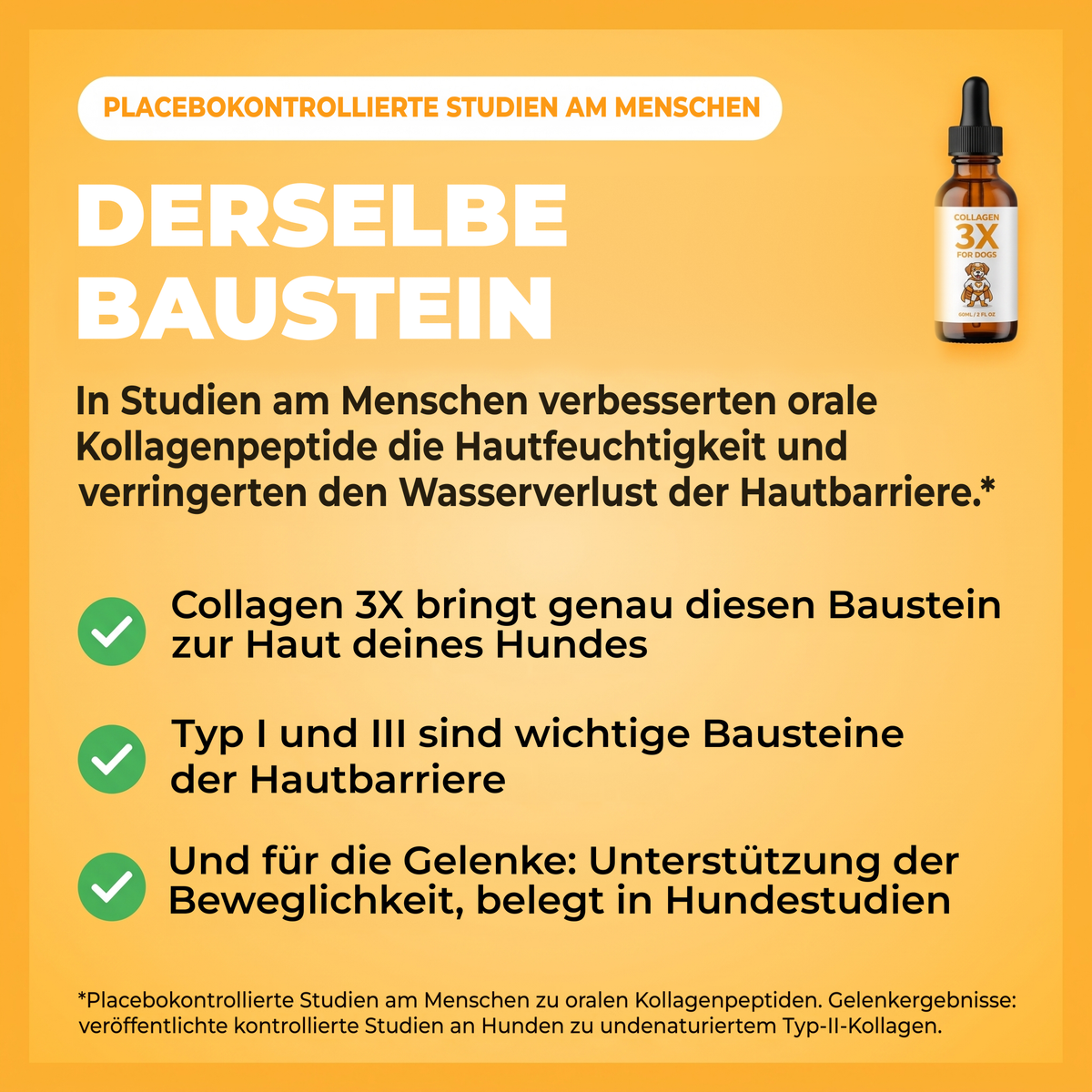 Derselbe Baustein: In placebokontrollierten Studien am Menschen verbesserten oral eingenommene Kollagenpeptide die Feuchtigkeit der Haut und verringerten den Wasserverlust. Collagen 3X bringt diesen Baustein zur Haut deines Hundes.