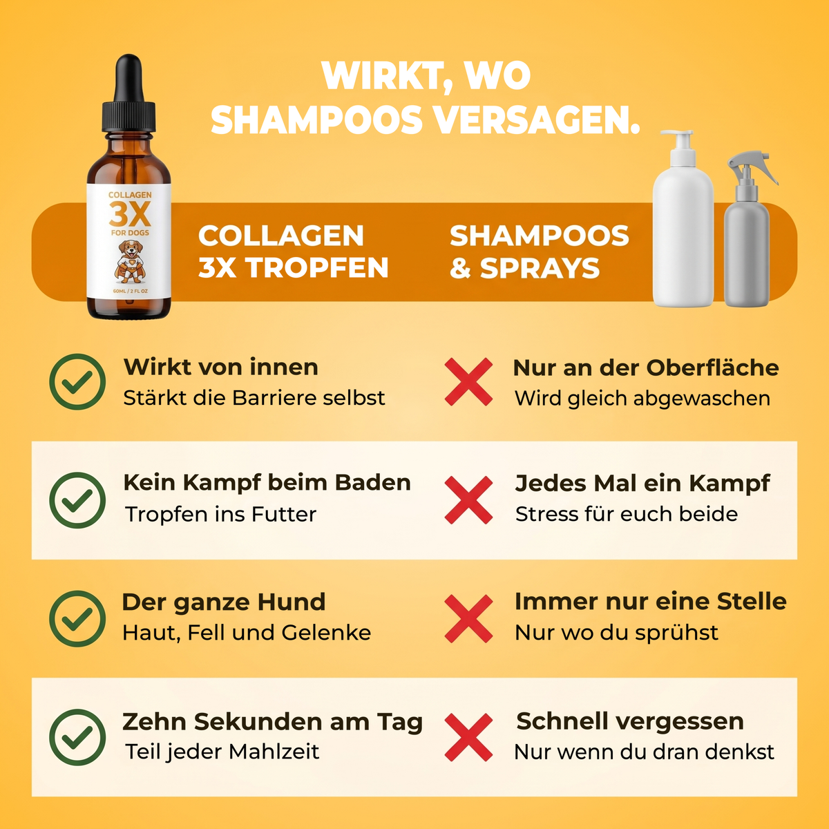 Wirkt, wo Shampoos nicht hinkommen. Von innen, ohne Kampf in der Badewanne, für den ganzen Hund, zehn Sekunden am Tag.