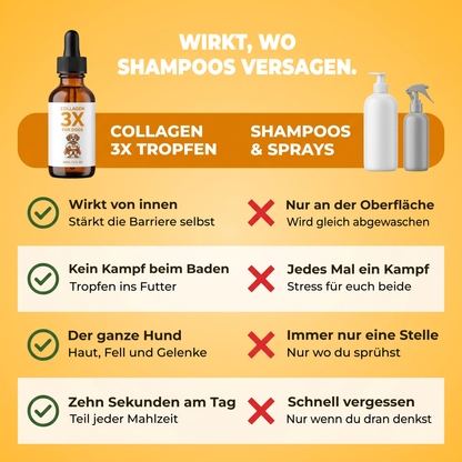 Wirkt, wo Shampoos nicht hinkommen. Von innen, ohne Kampf in der Badewanne, für den ganzen Hund, zehn Sekunden am Tag.