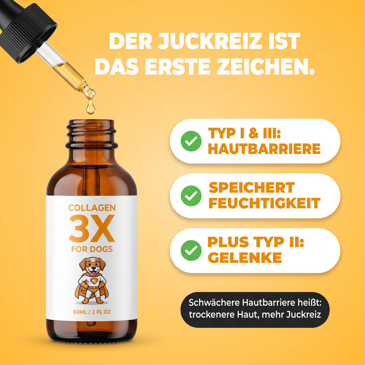 Am Juckreiz siehst du es zuerst. Typ I und III unterstützen die Hautbarriere und halten Feuchtigkeit, dazu Typ II für die Gelenke.