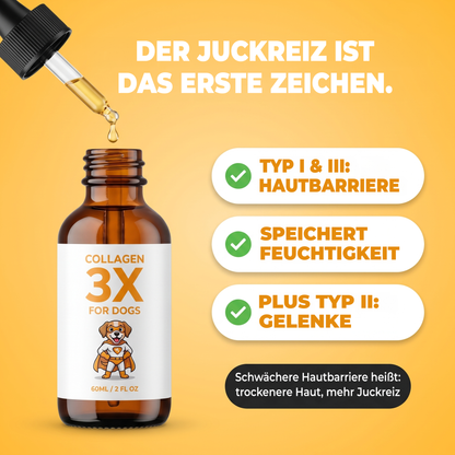 Am Juckreiz siehst du es zuerst. Typ I und III unterstützen die Hautbarriere und halten Feuchtigkeit, dazu Typ II für die Gelenke.