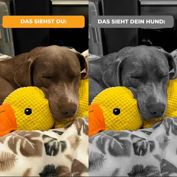 Anti-Stress Duck™: Das Quaken, das beruhigt