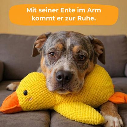 Anti-Stress Duck™: Das Quaken, das beruhigt
