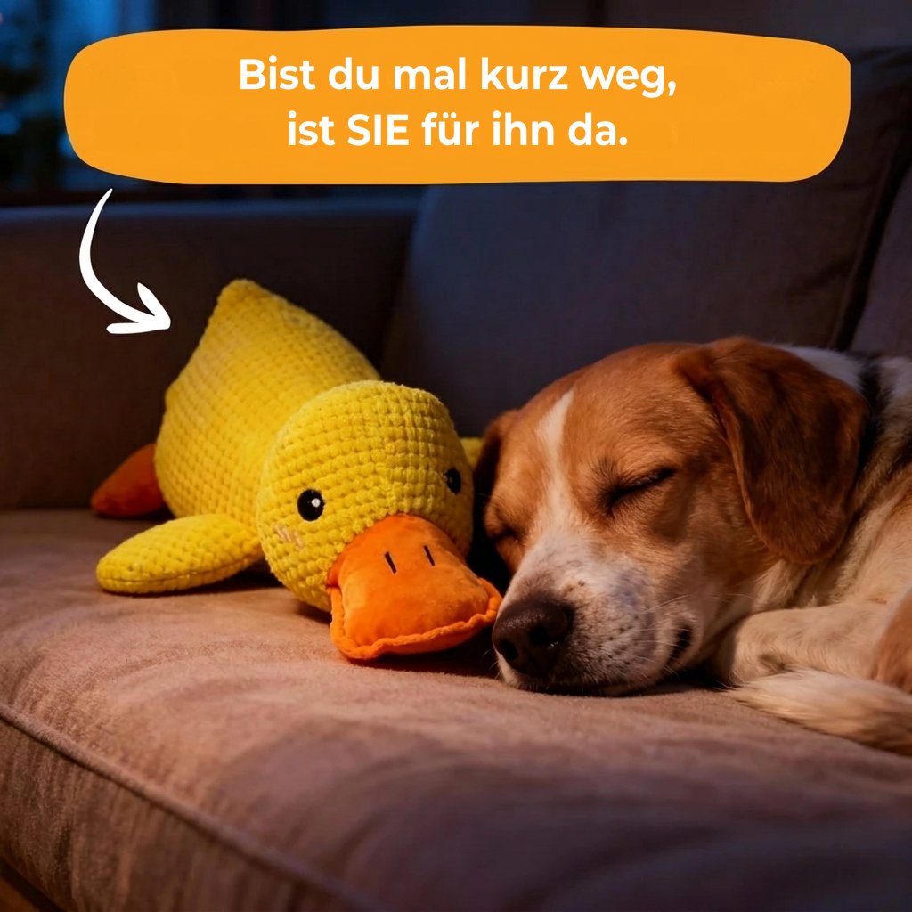 Anti-Stress Duck™: Das Quaken, das beruhigt