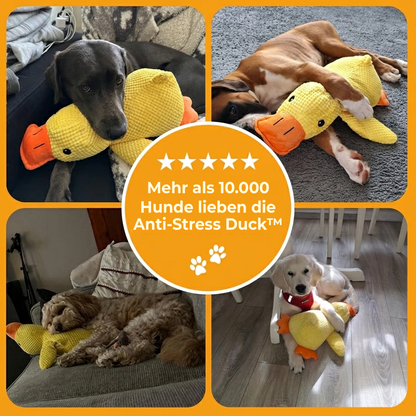 Anti-Stress Duck™: Das Quaken, das beruhigt