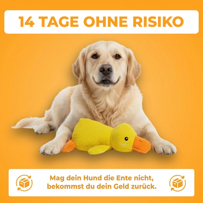 Anti-Stress Duck™: Das Quaken, das beruhigt