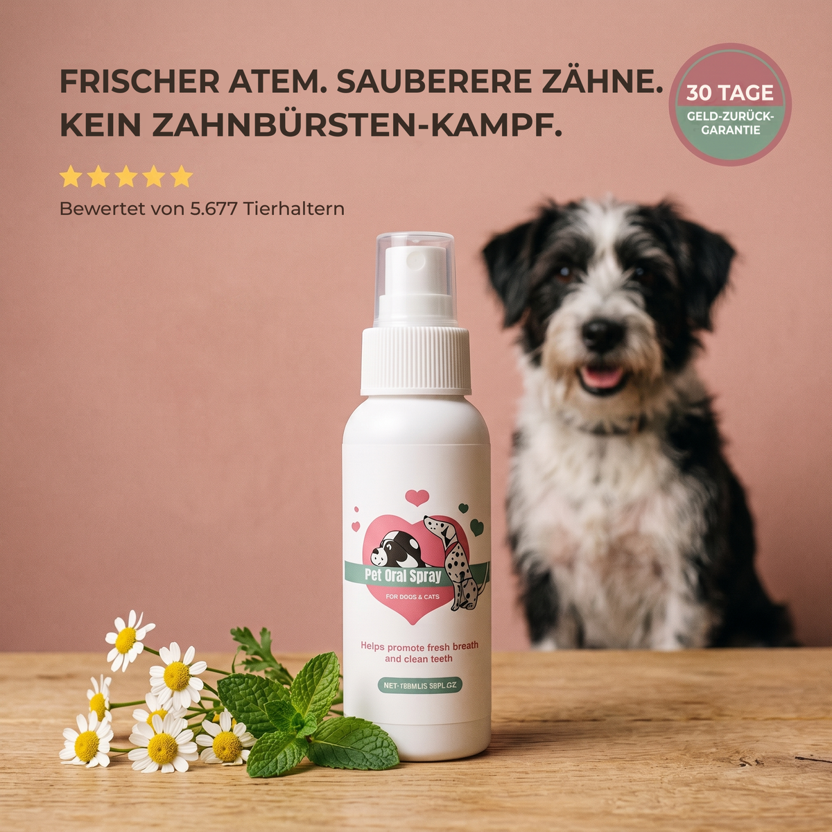 FreshBites™ Zahnspray: Saubere Zähne ohne Kampf mit der Zahnbürste