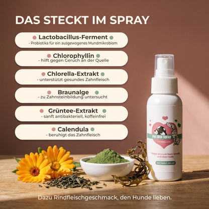 FreshBites™ Zahnspray: Saubere Zähne ohne Kampf mit der Zahnbürste