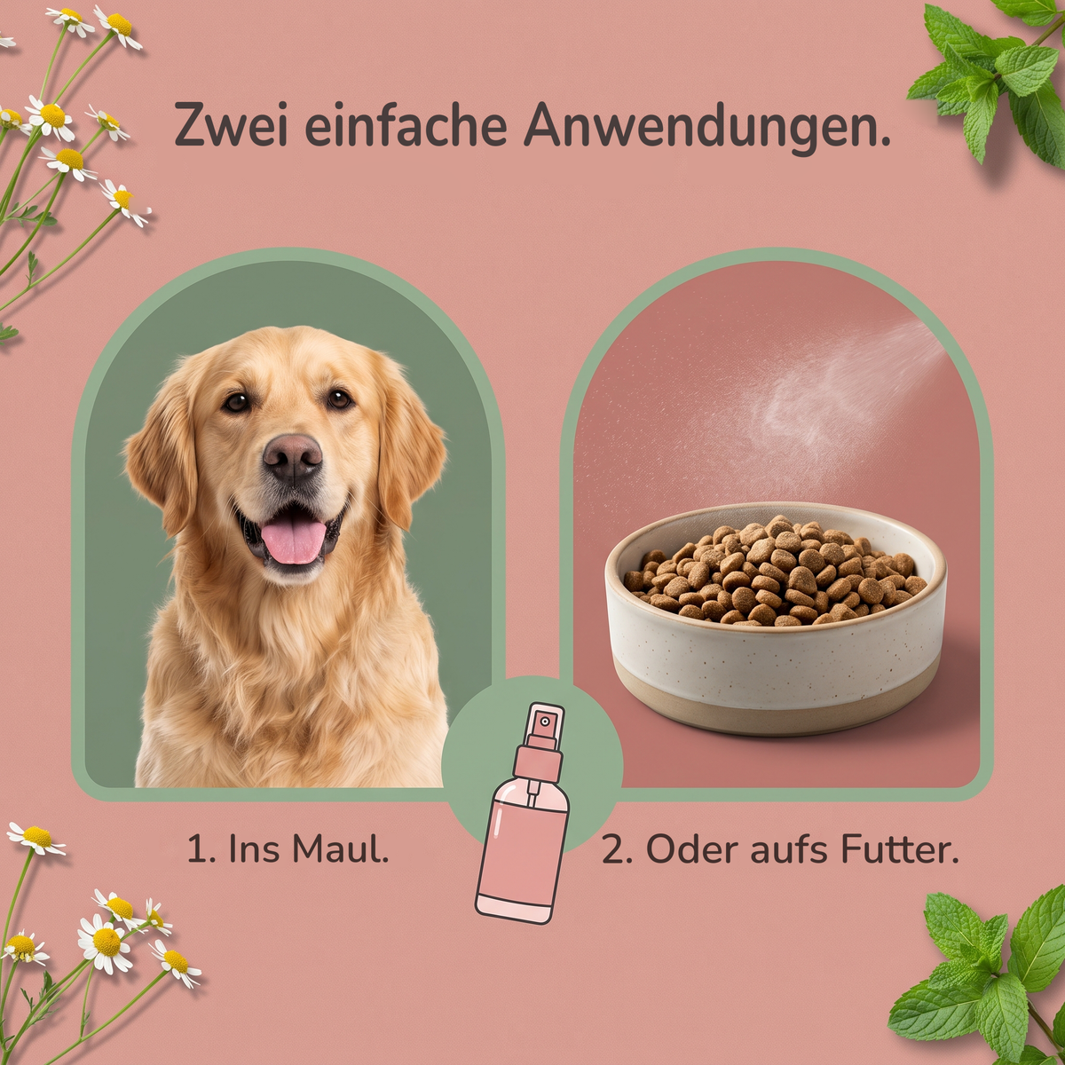 Zwei einfache Anwendungen: ins Maul oder aufs Futter