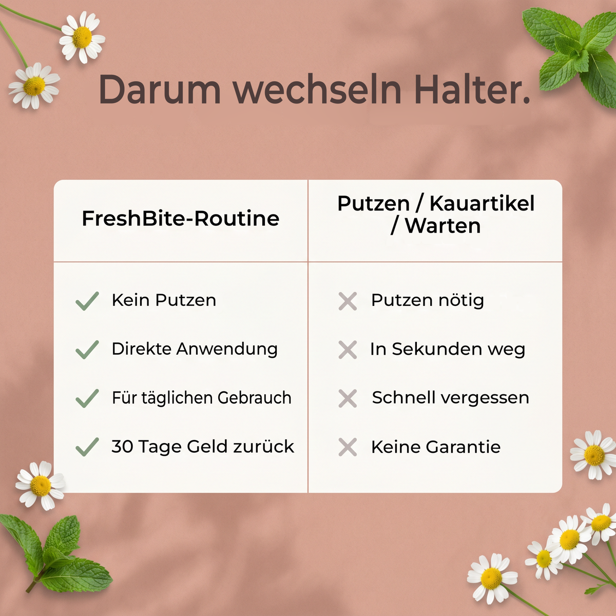 Warum Halter umsteigen: FreshBites Routine statt Zähneputzen, Kauartikeln oder Abwarten