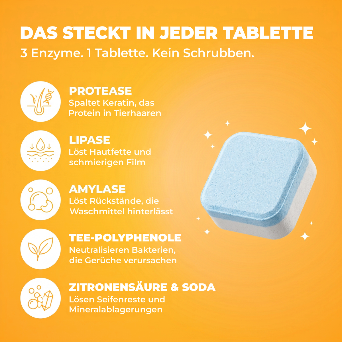 Was in jedem FurFizz Tab steckt: Protease, Lipase, Amylase, Teepolyphenole, Zitronensäure und Soda