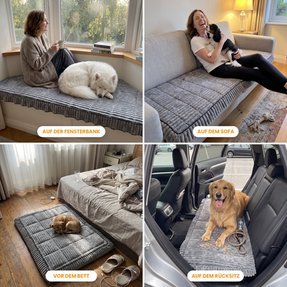 FurGuard Einsatzmöglichkeiten: Fensterbankkissen mit Samojede, Sofabezug mit Cavalier Spaniel, Bettvorleger mit Welpe, Autositzbezug mit Golden Retriever