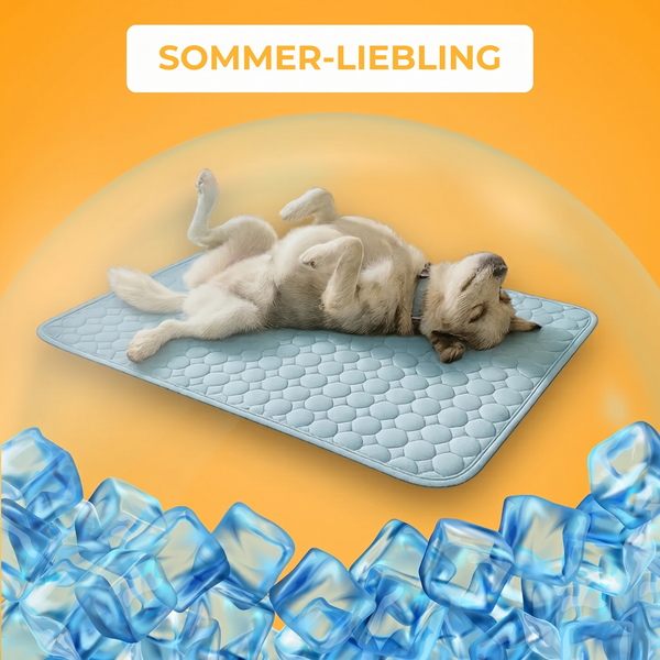 PawChill™ Kühlmatte: ohne Wasser, ohne Gel, ohne Strom