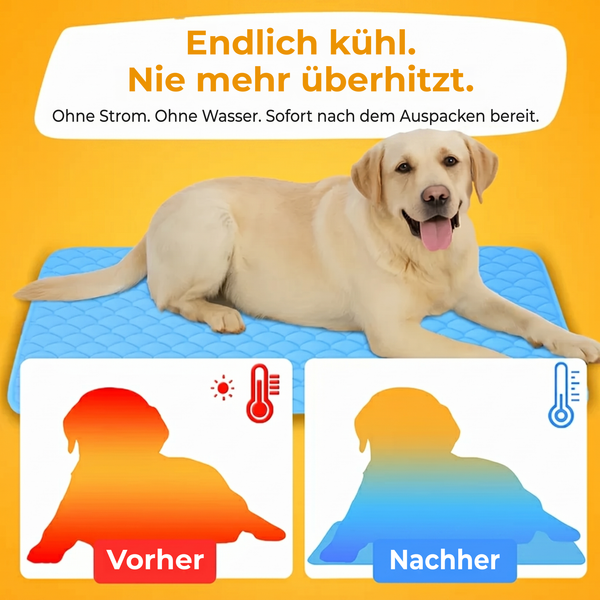 PawChill™ Kühlmatte: ohne Wasser, ohne Gel, ohne Strom