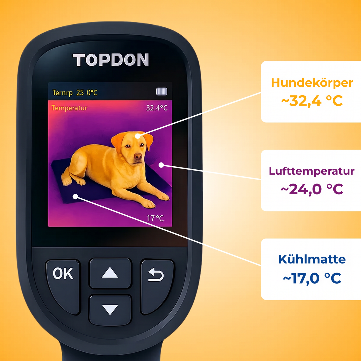 PawChill™ Kühlmatte: ohne Wasser, ohne Gel, ohne Strom