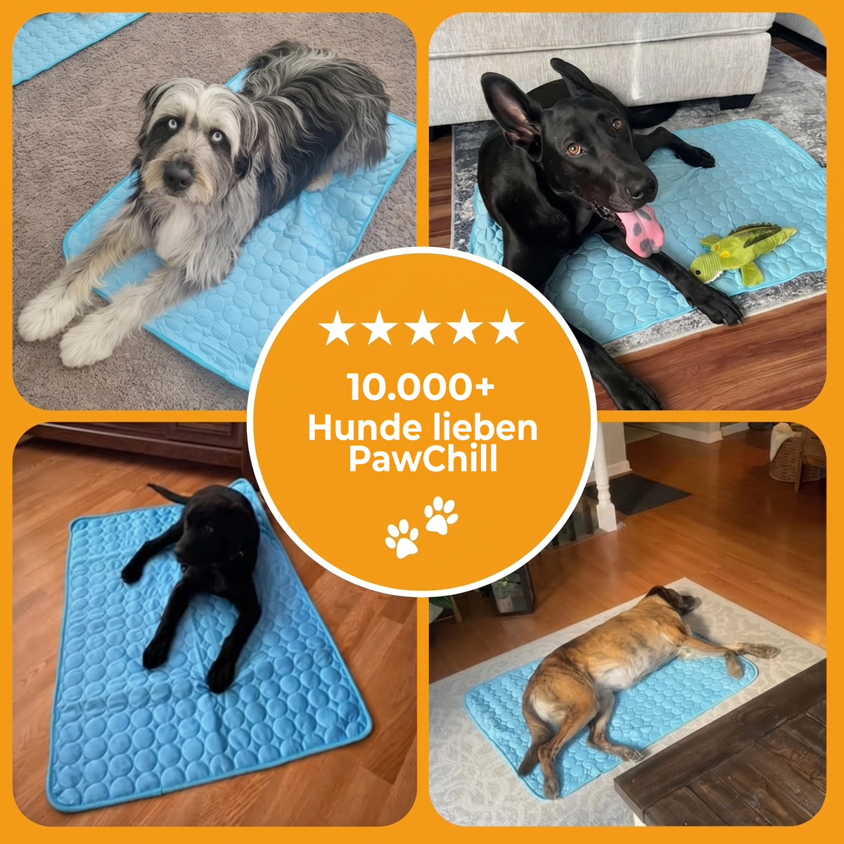 PawChill™ Kühlmatte: ohne Wasser, ohne Gel, ohne Strom