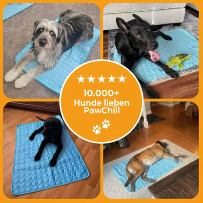 PawChill™ Kühlmatte: ohne Wasser, ohne Gel, ohne Strom
