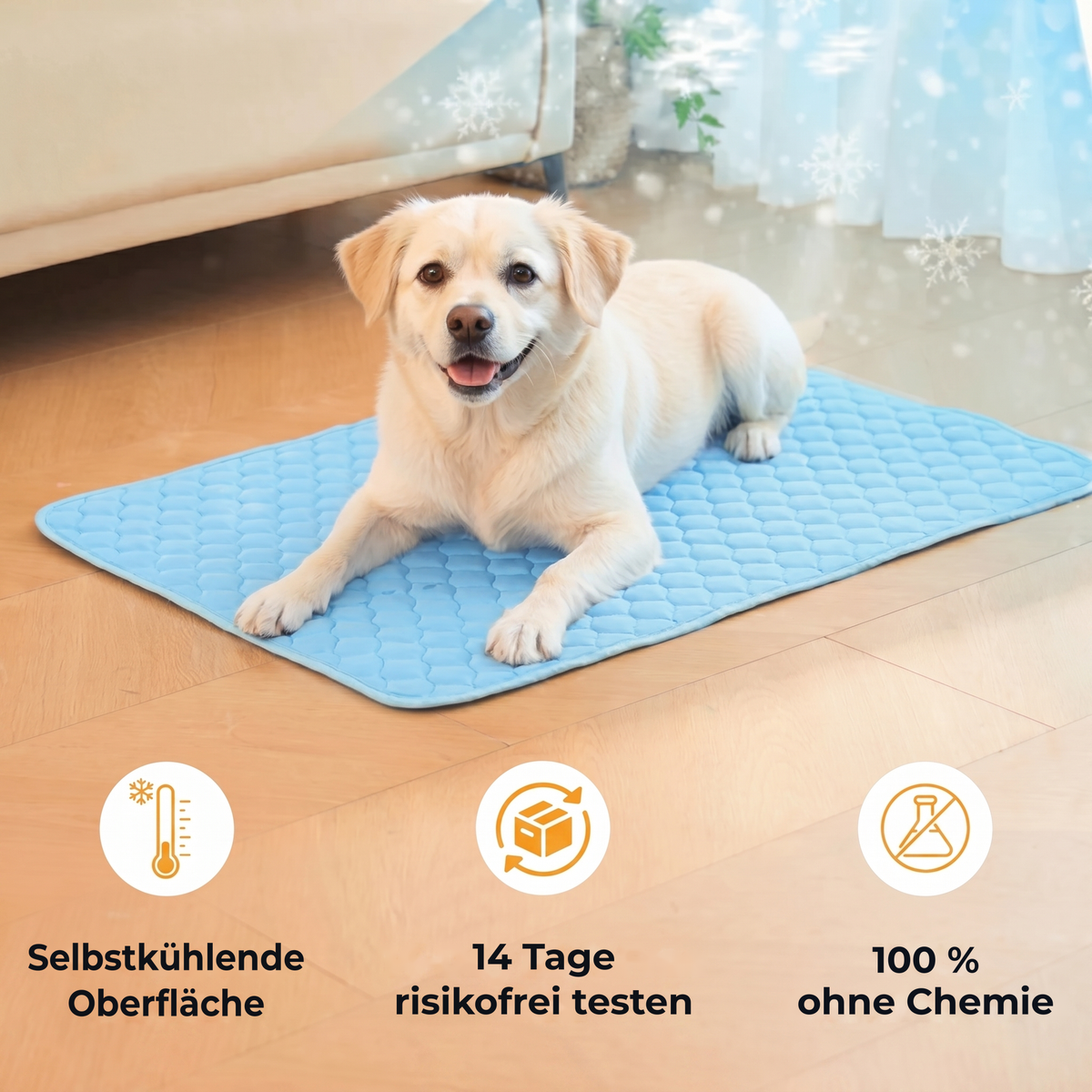 PawChill™ Kühlmatte: ohne Wasser, ohne Gel, ohne Strom