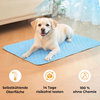 PawChill™ Kühlmatte: ohne Wasser, ohne Gel, ohne Strom