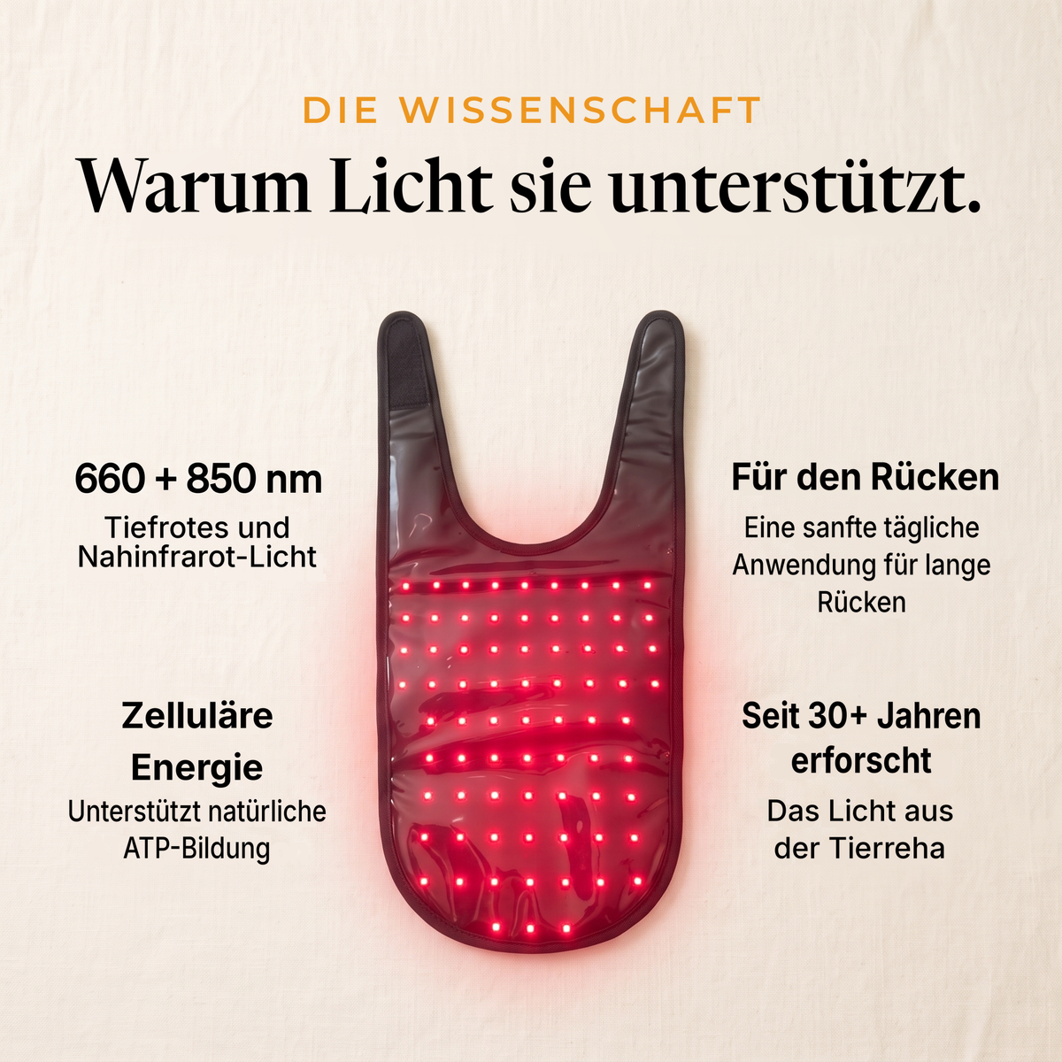 Innenseite des RedPaw Wraps mit leuchtenden LEDs, die Wissenschaft hinter Rotlicht für Hunde