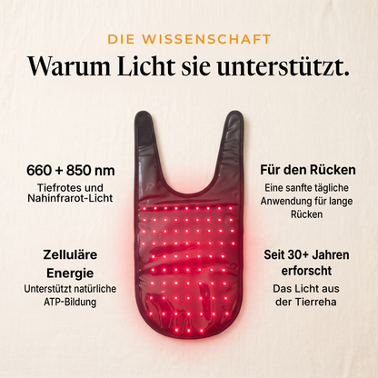 Innenseite des RedPaw Wraps mit leuchtenden LEDs, die Wissenschaft hinter Rotlicht für Hunde