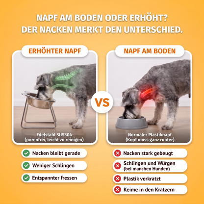 Gesund und ungesund fressen: Zwergschnauzer am erhöhten TiltBowl aus Edelstahl mit entspannter Nackenhaltung neben einem Plastiknapf am Boden mit belasteter Nackenhaltung