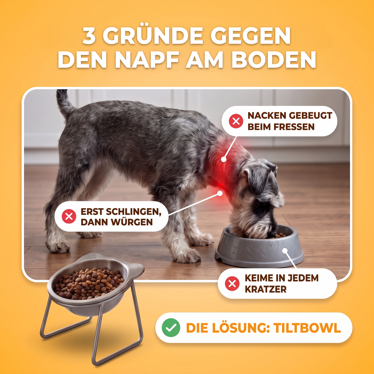 TiltBowl™: Der Napf, der ihm entgegenkommt