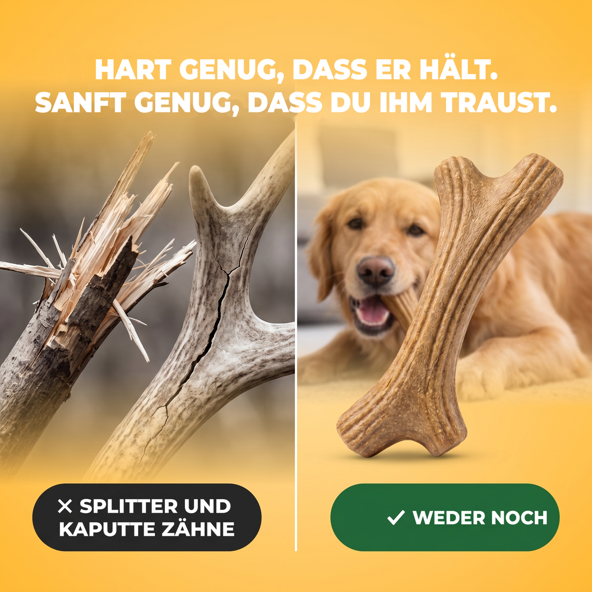 TimberAntler Kaugeweih aus Holzfaser im Vergleich zu splitterndem Stock und gesprungenem Geweih. Hart genug, um zu halten, weich genug, um ihm zu vertrauen.