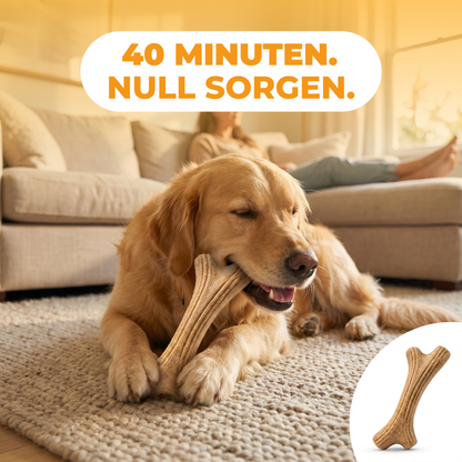 Hund kaut entspannt das TimberAntler Kaugeweih aus Holzfaser auf einem Wohnzimmerteppich.