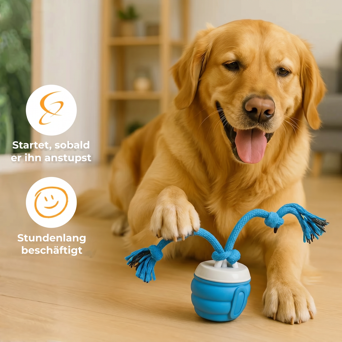 Wonderball™ Interaktiver Hundeball: Spielt mit ihm, wenn du weg bist