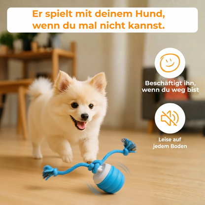 Wonderball™ Interaktiver Hundeball: Spielt mit ihm, wenn du weg bist