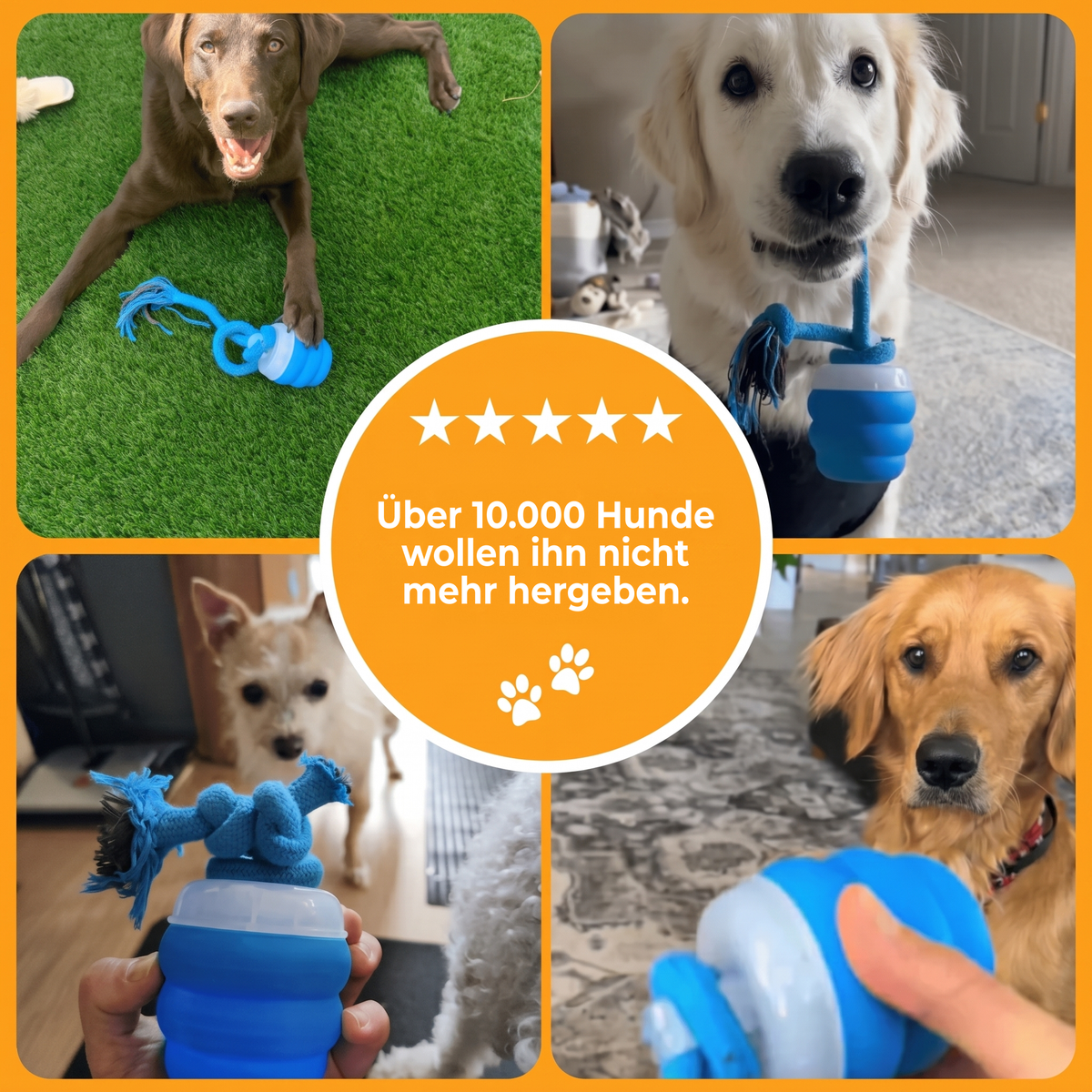 Wonderball™ Interaktiver Hundeball: Spielt mit ihm, wenn du weg bist