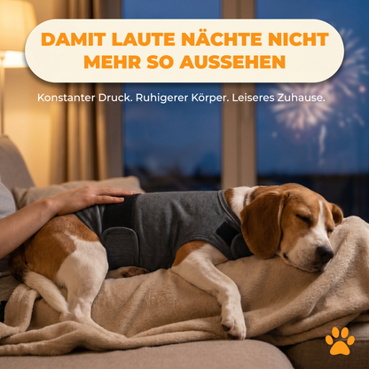 Ergebnis im Alltag: Ein Beagle schläft friedlich mit dem WuffHug Wrap auf dem Sofa, draußen leises Feuerwerk. Damit laute Nächte für ihn nicht mehr so aussehen.