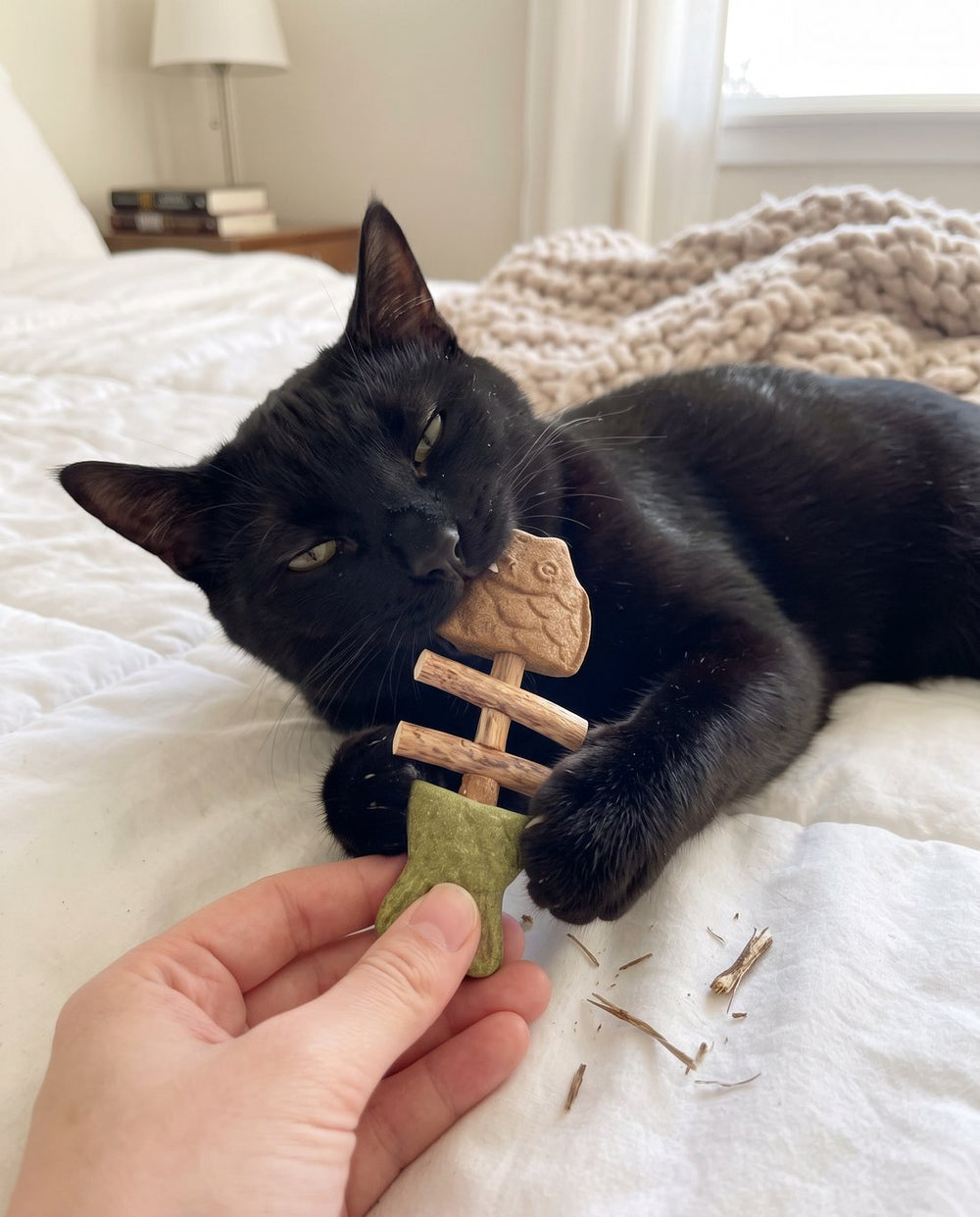 Black cat chewing a PurrStick on the bed