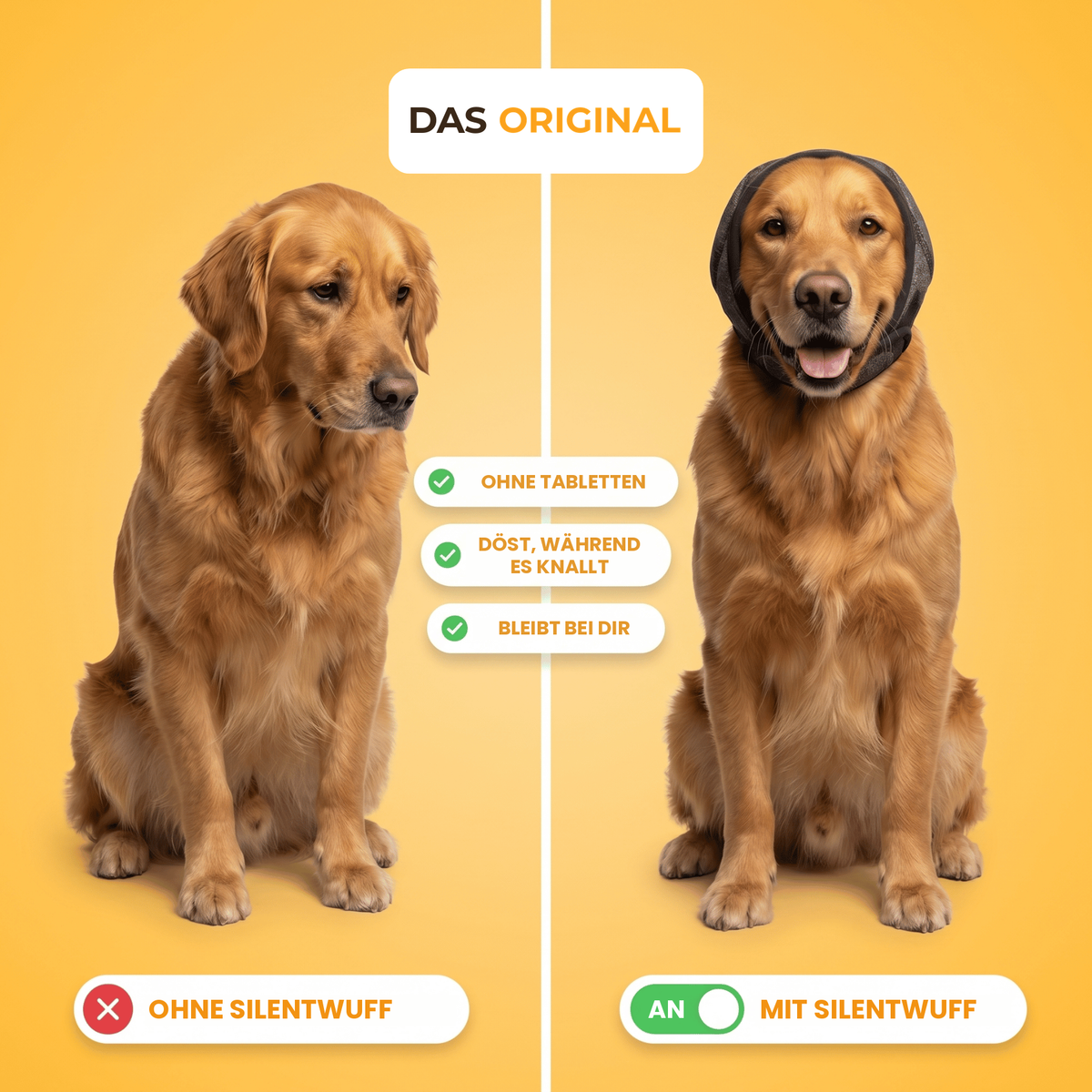 Golden Retriever ohne und mit SilentWuff Ohrenhaube: ruhig statt sediert, schläft trotz Knallerei, kein Verstecken mehr.