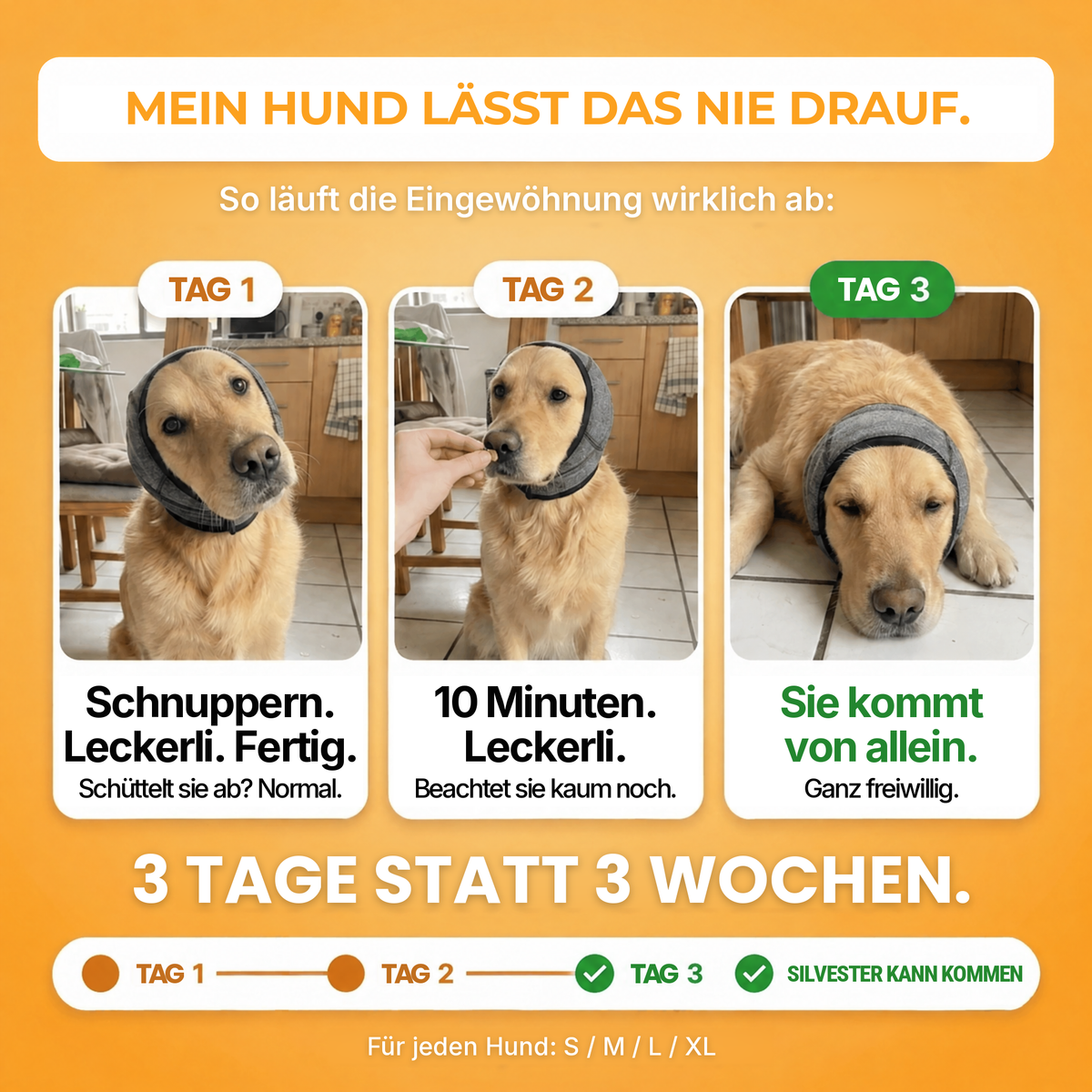 Das behält mein Hund nie an: die ersten 3 Tage der Eingewöhnung mit SilentWuff. Größen S, M, L und XL.