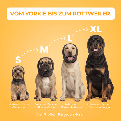 Die richtige Passform für jede Rasse: Größen S, M, L und XL, vom Malteser bis zum Rottweiler.