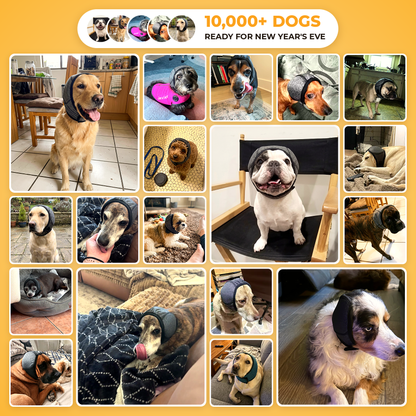 10,000+ dogs ready for New Year's Eve: photos of dogs wearing the SilentWuff ear hood.