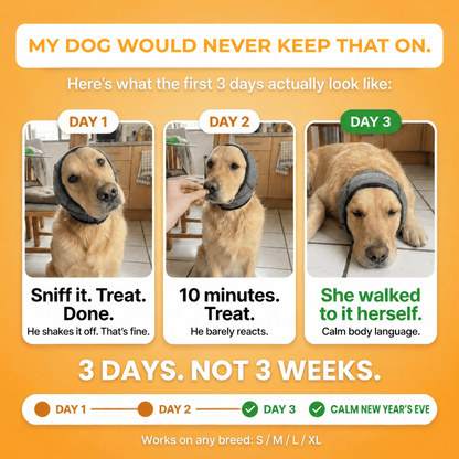 My dog would never keep that on: the first 3 days of getting used to SilentWuff. Sizes S, M, L and XL.
